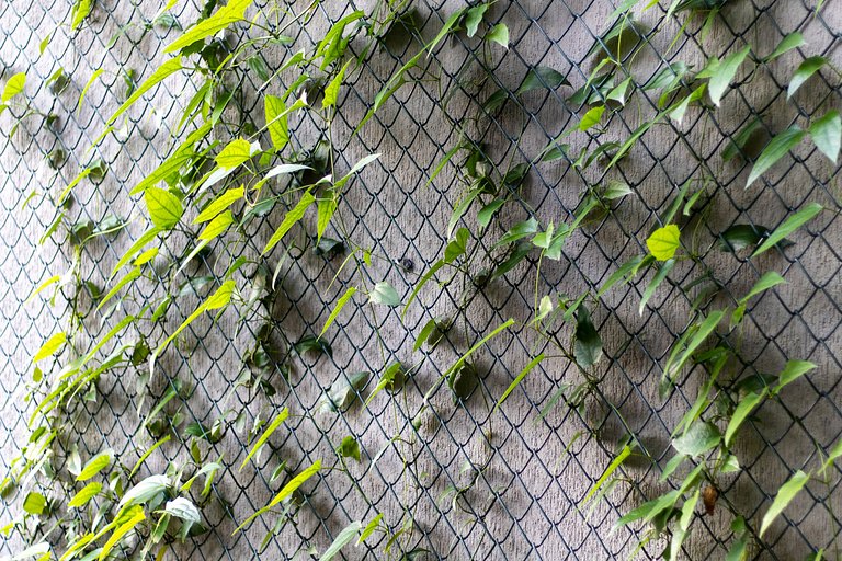 Studio Garden Tolive One Carpediem by Housi